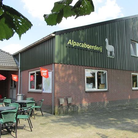 דירות Bocholt De Alpacaboerderij מראה חיצוני תמונה
