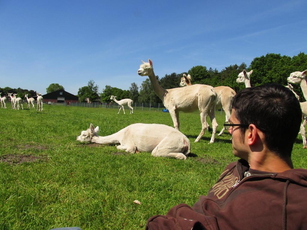 דירות Bocholt De Alpacaboerderij מראה חיצוני תמונה