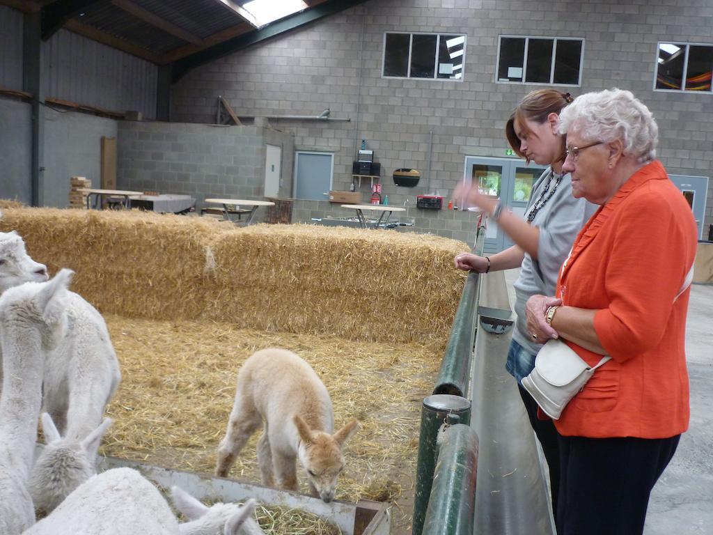 דירות Bocholt De Alpacaboerderij מראה חיצוני תמונה