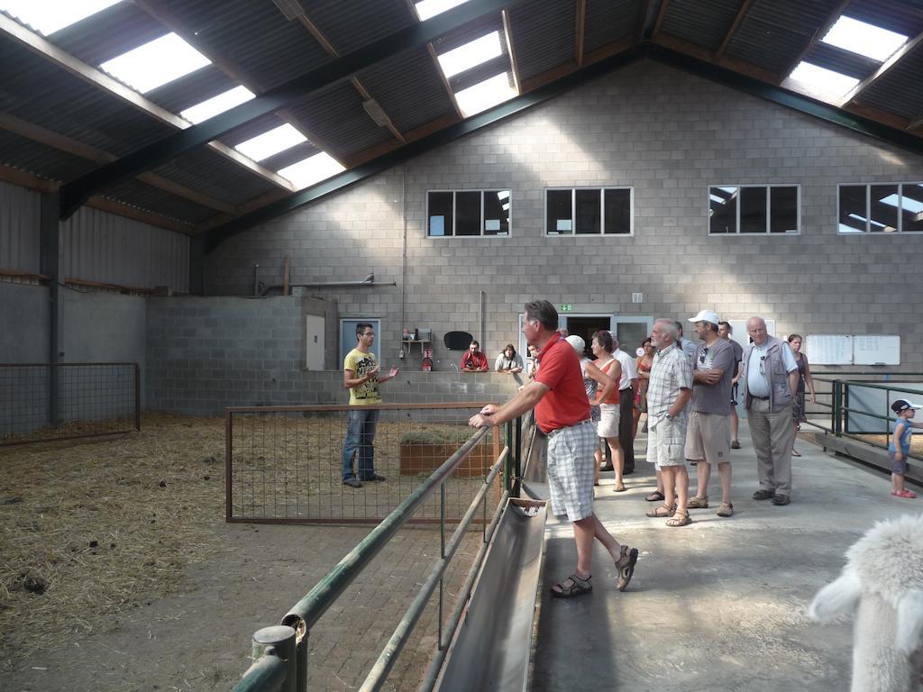 דירות Bocholt De Alpacaboerderij מראה חיצוני תמונה